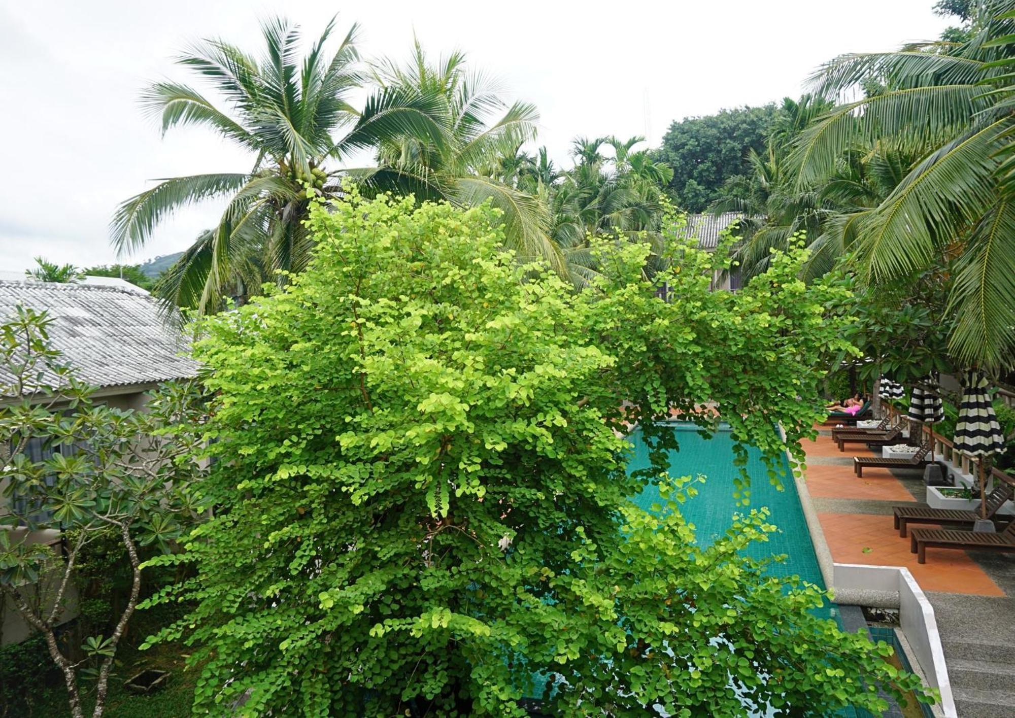 Signature Phuket Resort SHA Plus Chalong Exterior foto